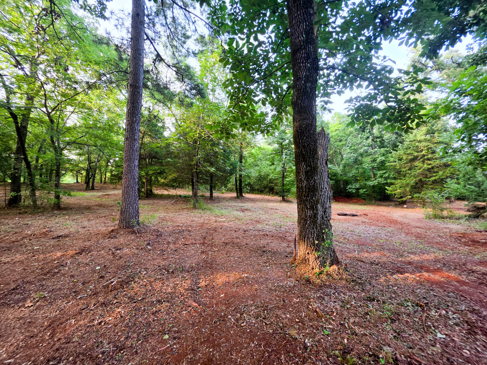 Same Arkansas acreage cleared to open, park-like woodland after forestry mulching